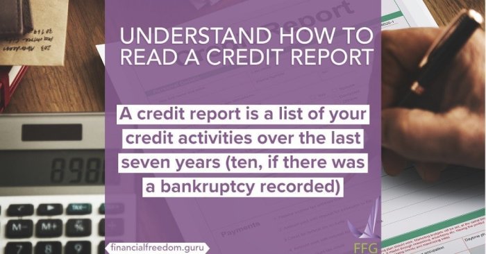 Credit report read