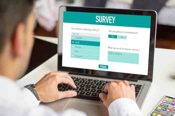 Creating Online Surveys