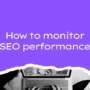 Analyzing SEO Performance