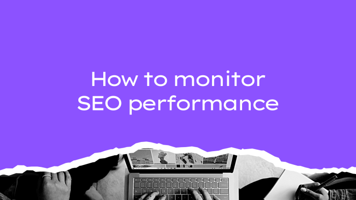 Analyzing SEO Performance